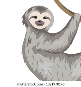 cute sloth cartoon