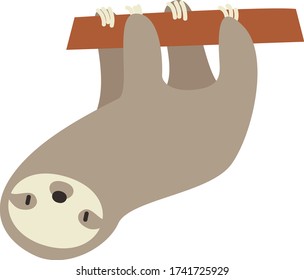 Cute sloth Cartoon, Vector illustration sloth on a white background. Drawing for children
