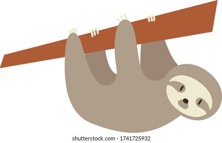 Cute sloth Cartoon, Vector illustration sloth on a white background. Drawing for children