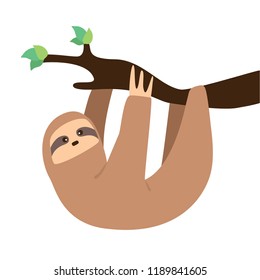 Cute sloth character. Cartoon vector illustration