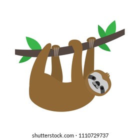 cute sloth hanging on branch