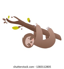 Cute sloth hanging on branch of tree and smiling isolated on white background - flat vector illustration of lovely and funny lazy childish animal climbing in rain forest.