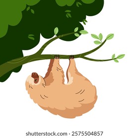 Cute sloth hanging on a branch. Hand drawn vector illustration. Tropical animal. Cozy and calm design.