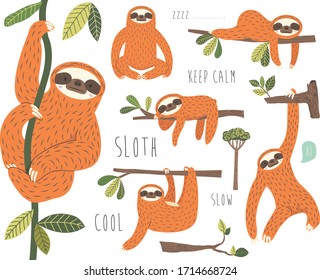 Cute Sloth Hanging on Tree Collection set