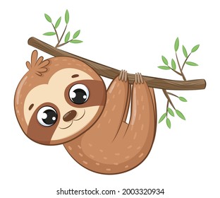 Cute sloth hanging on a tree branch.Cartoon vector illustration.