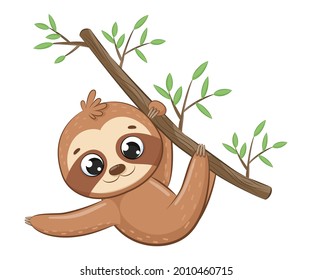 Cute sloth hanging on a tree branch.Cartoon vector illustration.