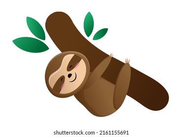 Cute sloth hanging on a tree. Vector cartoon character hugs a tree and sleeps. Elements for design, banners, packaging, patterns, posters, prints