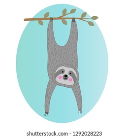 cute sloth hanging from tree branch