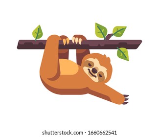 Cute sloth hanging from a tree flat illustration