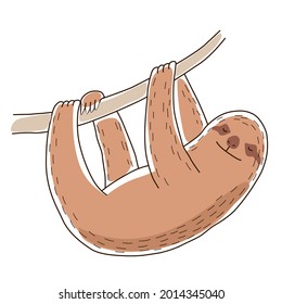 A cute sloth holds on to a branch with its paws