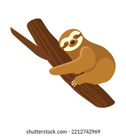 Cute sloth on branch flat picture. Cartoon funny sloth hanging on tree branch, sleeping, smiling isolated vector illustration. Animals and wildlife concept