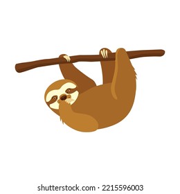 Cute sloth on branch flat vector illustration. Sloth hanging on tree branch isolated on white background. Animals and wildlife concept