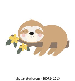 cute sloth on branch isolated on white, funny vector illustrations, poster and greeting card