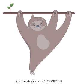Geringe Faulheit auf dem Ast des Baumes lächeln. Vector-Abbildung.