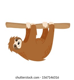 Cute sloth on tree branch hand drawn vector illustration isolated on white background. Scandinavian cartoons art with little lazy sloth. 