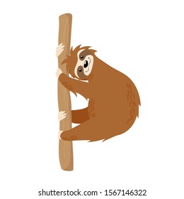 Cute sloth on tree branch hand drawn vector illustration isolated on white background. Scandinavian cartoons art with little lazy sloth. 