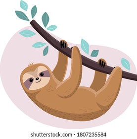 A Cute Sloth On A Tree Branch