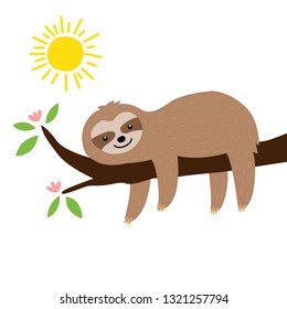 Cute sloth on the tree in the morning with the sun isolated on white background