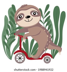 A cute sloth is riding a scooter. Vector illustration isolated on white background. Baby shower card, poster, decoration, sticker.