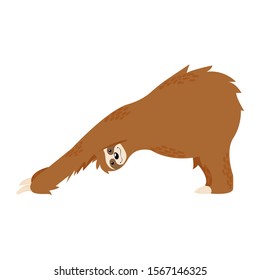 Cute sloth sitting in yoga pose isolated on white background. Meditation little sloth in scandinavian style. Childish cartoon animal vector illustration. 