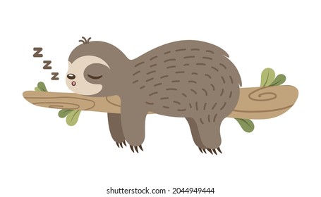 Cute sloth sleeping on a branch clipart vector illustration.