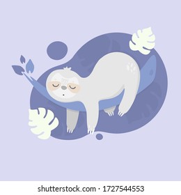 Cute sloth sleeping on the three. Vector tropical illustration for kids