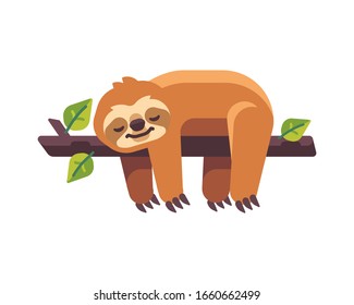 Cute sloth sleeping on a tree branch flat illustration