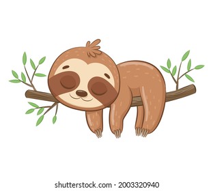 Cute sloth sleeps sweetly
