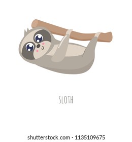 Cute sloth vector illustration. Flat design.