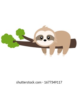 Cute Sloth Vector Illustration on White