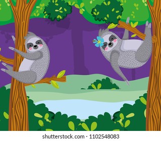 Cute sloths wildlife animal