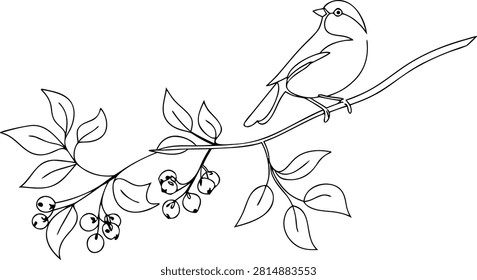 Cute small bird perched on leafy branch with berries. nature and wildlife concept. minimalist outline sketch drawing.