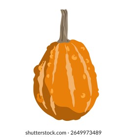 Cute small decorative pumpkin illustration isolated on white. Vector drawing.