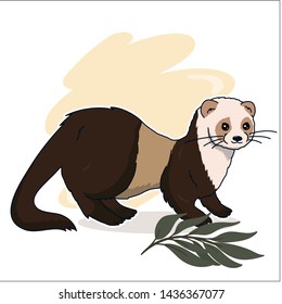 Ferret Stock Vectors, Images & Vector Art | Shutterstock