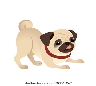 Dibujo pequeño y amigable de perro pug diseño animal doméstico ilustración vectorial plana aislada en fondo blanco