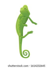 Cute small green chameleon lizard cartoon animal design flat vector illustration isolated on white background