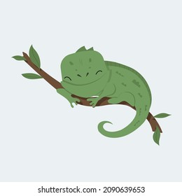 Cute small green chameleon lizard on a branch. Cartoon exotic animal design flat vector illustration isolated on light blue background.
