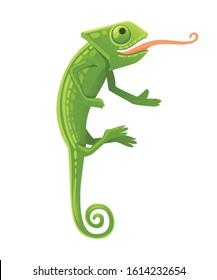 Cute small green chameleon with open mouth and long tongue lizard cartoon animal design flat vector illustration isolated on white background