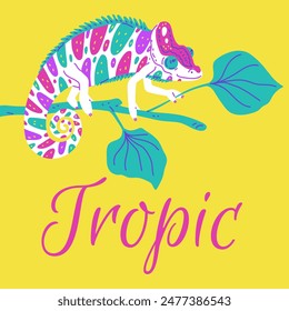 Cute small spotted colorful chameleon on branch with leaves. Card design with Tropic lettering. Cartoon tropical lizard, predator animal flat vector illustration. Exotic guana pet from wild jungle