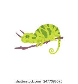 Cute small spotted green chameleon with horns and curled tail sitting on branch. Exotic wild guana flat vector illustration isolated. Cartoon tropical predator lizard animal