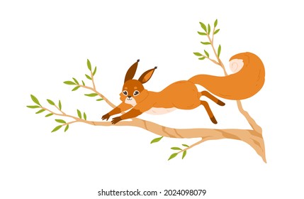 Cute small squirrel jumping on tree branch. Happy forest rodent with bushy tail on sprig. Adorable funny wild animal on twig. Flat vector illustration isolated on white background