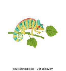 Cute small striped colorful chameleon on branch with leaves. Cartoon tropical lizard, predator animal flat vector illustration isolated on white. Exotic guana pet from the wild jungle