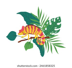 Cute small striped colorful chameleon on branch with tropical leaves. Cartoon predator lizard animal flat vector illustration isolated on white. Exotic guana pet from the wild jungle