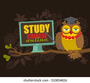 Cute  smart owl on the tree promoting on-line course of Chinese. Vector illustration.
