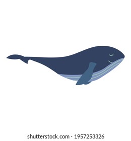 Cute smile blue whale. Colorful vector isolated illustration hand drawn. Wildlife, mammal from ocean