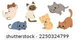Cute and smile cat doodle vector set. Adorable cat or fluffy kitten character design collection with flat color, different poses on white background. Design illustration for sticker, comic, print.