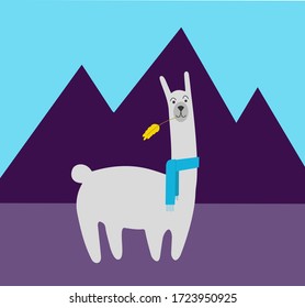 Cute smiling alpaca vector illustration