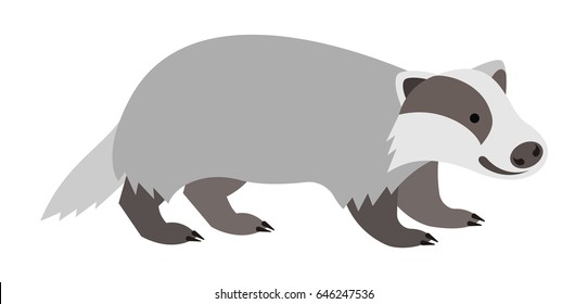 Cute smiling badger vector cartoon illustration. Wild zoo animal icon. Furry adult mammal standing. Isolated on white. Forest fauna childish character. Simple flat design element