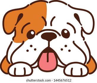 Cute smiling bulldog front view