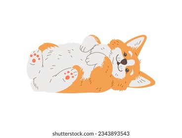 Cute smiling corgi dog lies on his back, waiting for affection. Cartoon Corgi purebred breed of furry puppy, darling pet. Vector illustration isolated on white background